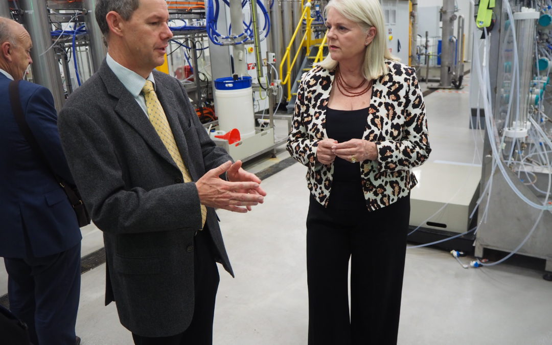 BHP Nickel West revs up