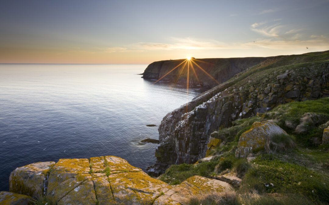 Are we at the beginning of a boom or the start of a bust?